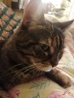 E9EF54CD-EC35-4619-93B9-060F5079A0BD