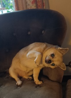 ED1B67D9-BDBC-4761-A87F-6C099624324A