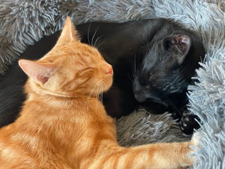 ED432CC7-C75F-45C9-9362-354EB8F4FC87