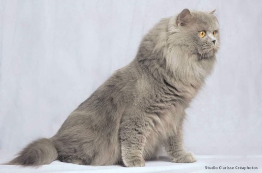 EDBC49DD-5FE5-4D46-AA0E-D63C52390009