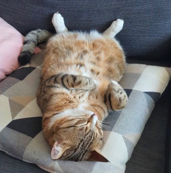 EE991A7A-0ACC-4EC9-AAF5-21E1963F395B