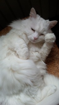 F04F3F33-6644-4B13-BE89-258ADFD2A545