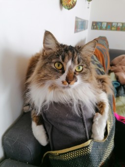 F0CA9873-A1C3-451C-A1AE-F99D1E8180EC