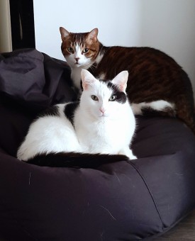 F2C272F7-33A8-436C-9453-DE5C7FCF2995