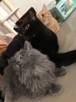 F44D64A1-E246-4E44-A909-1F36BFABF7F3