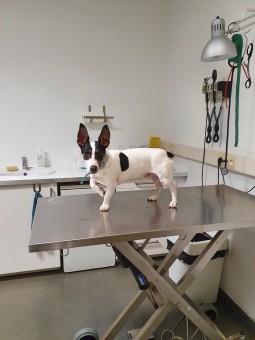 F5D4C03F-45CF-4159-A0EB-38992A717499