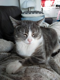 F6A4F0E5-2312-494E-8303-E9FA0466A97A