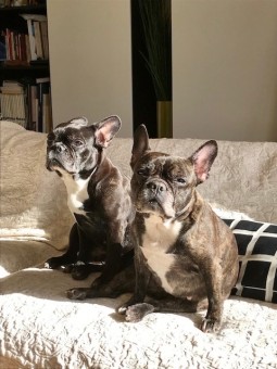 F788378E-EB59-4F65-AF4B-EA59440AAFB8