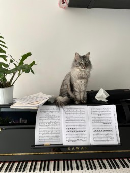 F8CE58CE-99D1-4FAA-BB30-9594B3DC05E3