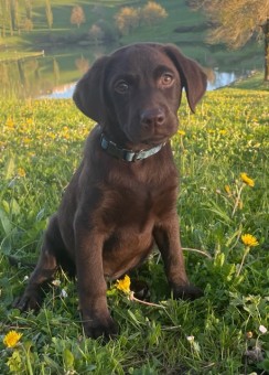 F95E5482-C860-438A-AE8E-F752AF8273D0