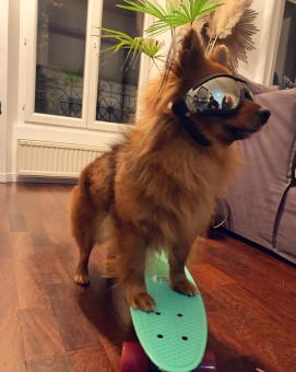 FC51842B-E34D-4225-A102-B25837168C05