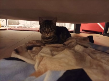 FC93C58E-A7E1-4EA4-9147-4DE398210DE2