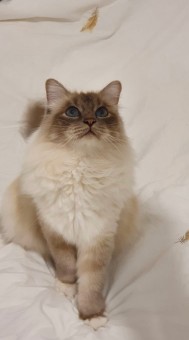 FD25CD50-0183-4A9D-9E6C-4F63D3B125CD