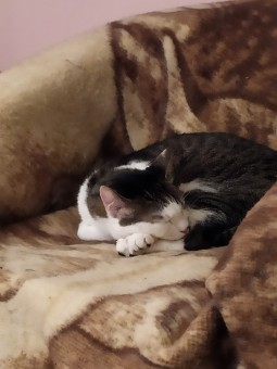 FDEF51B9-2E24-41D1-BC0D-860E1D577285