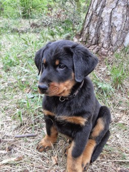 VLUU L100, M100 / Samsung L100, M100