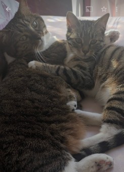 Screenshot_20240918-223014